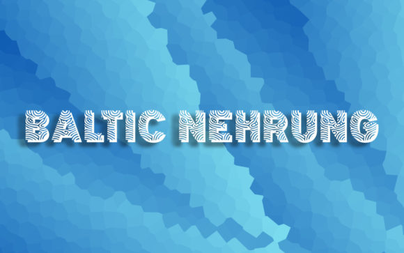 Baltic Nehrung: Discover a Font That Blends Creative Edge with Balanced Design
