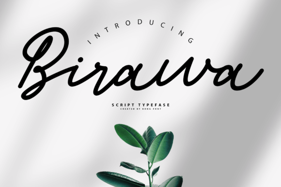 Birawa: A Modern and Playful Script Font for Creative Projects