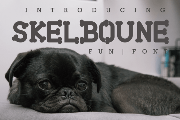 Skelboune: A Modern Serif for Creative Projects